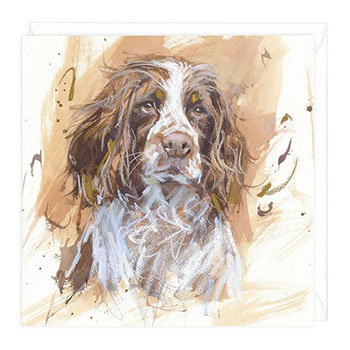 Card Springer Spaniel 1